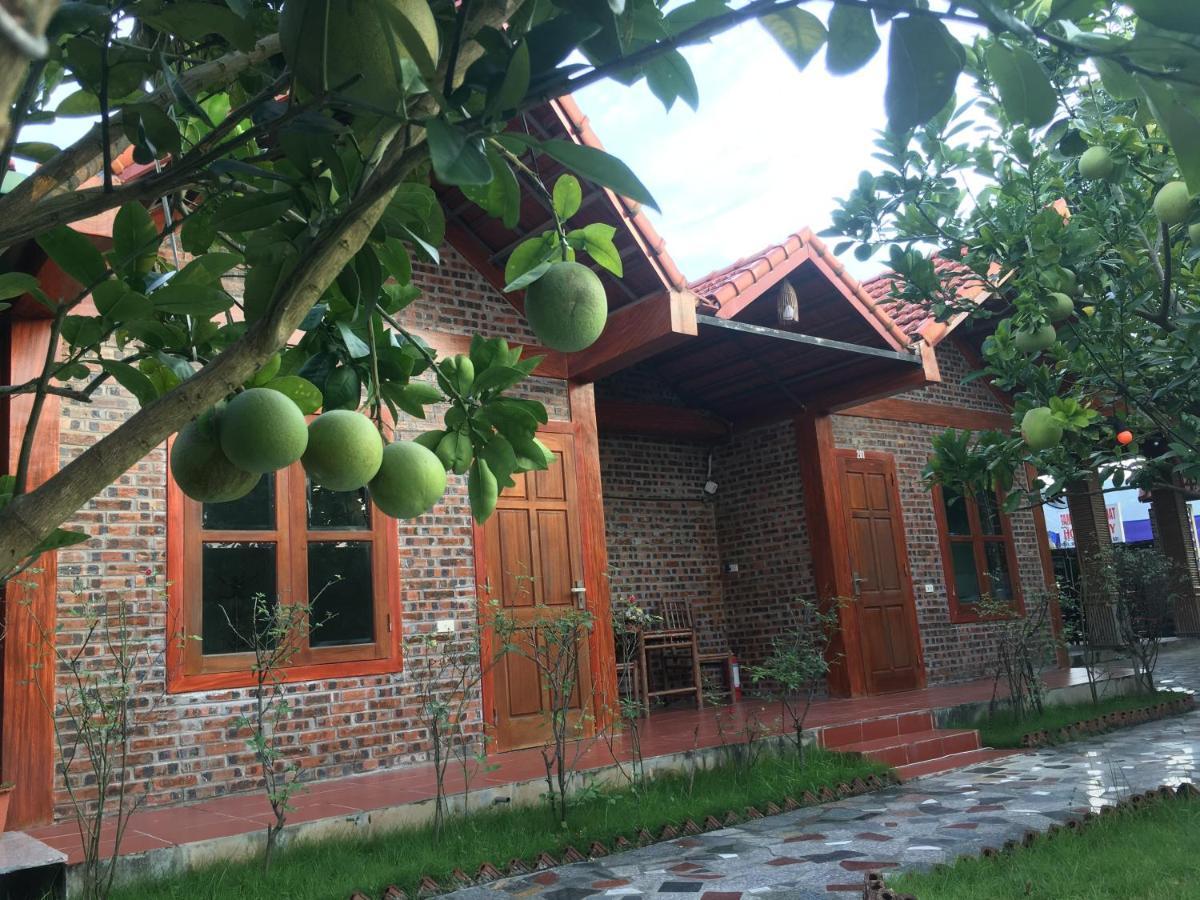 Tam Coc Thanh Dat Homestay Ninh Binh Exterior photo