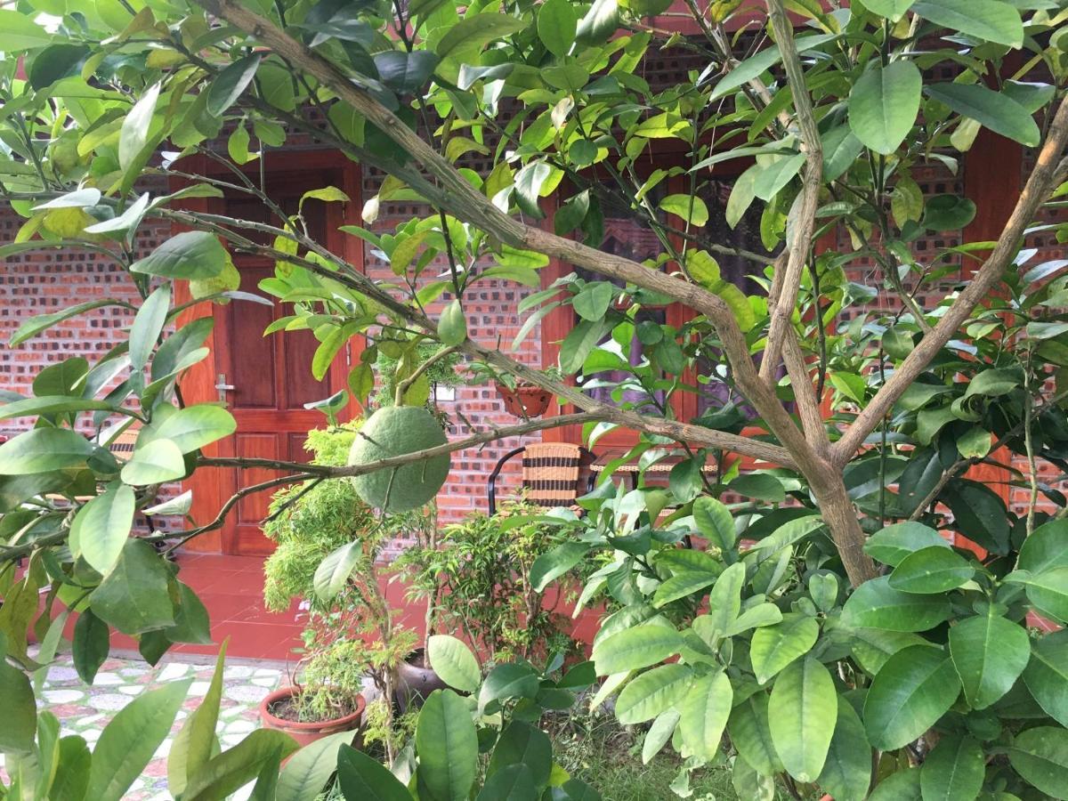 Tam Coc Thanh Dat Homestay Ninh Binh Exterior photo