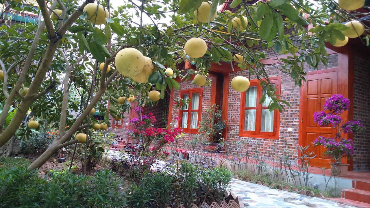Tam Coc Thanh Dat Homestay Ninh Binh Exterior photo