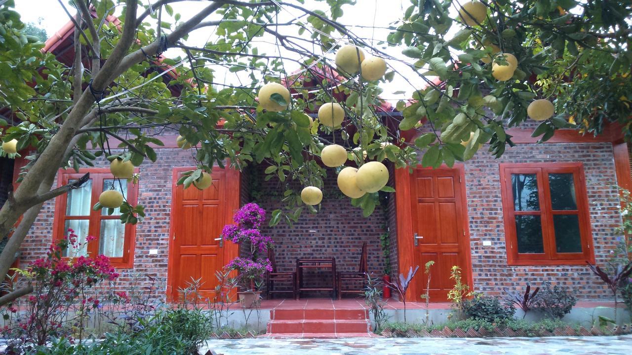 Tam Coc Thanh Dat Homestay Ninh Binh Exterior photo