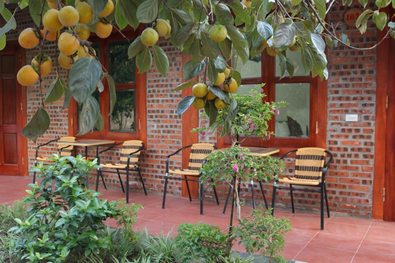 Tam Coc Thanh Dat Homestay Ninh Binh Exterior photo