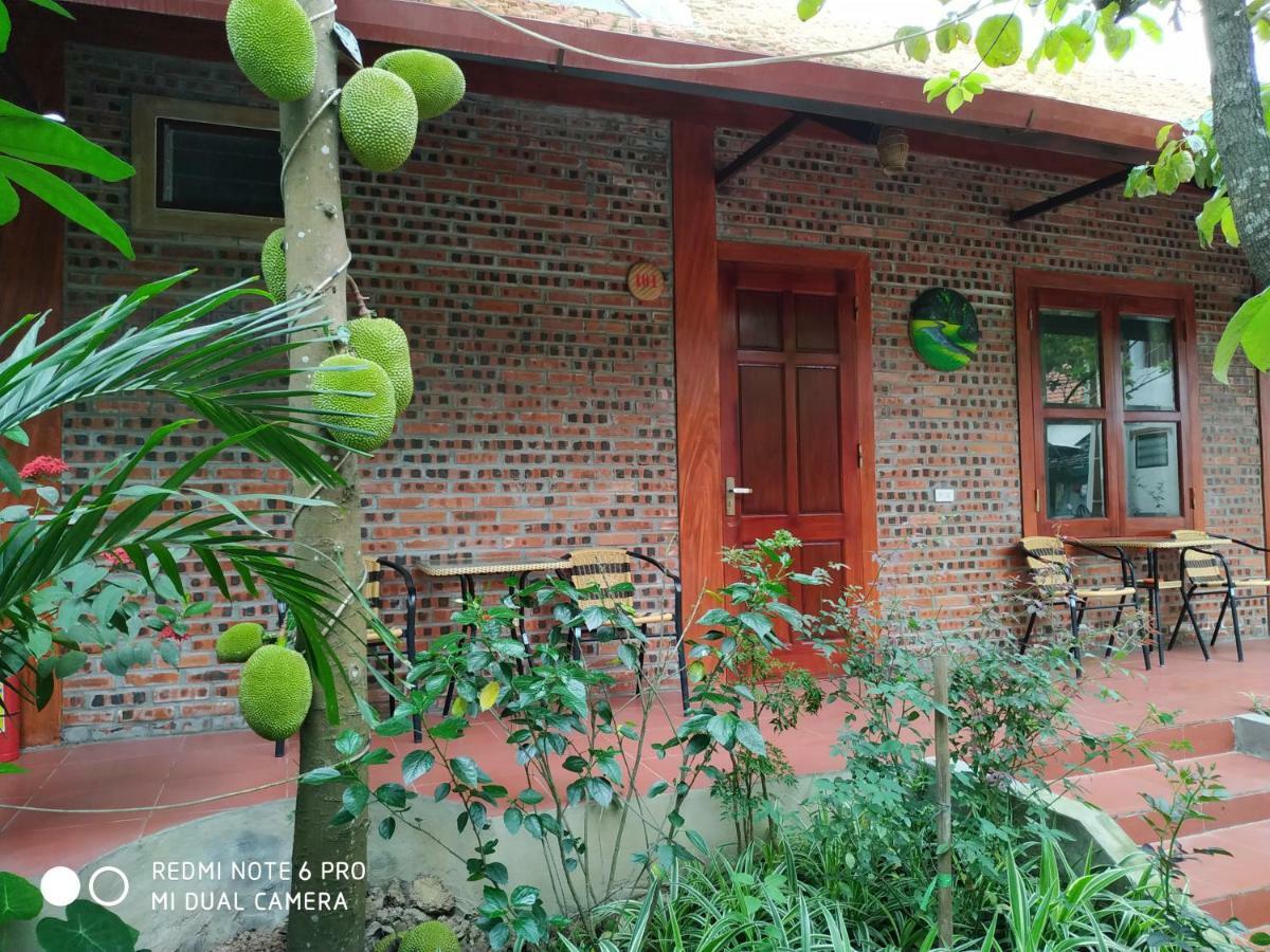 Tam Coc Thanh Dat Homestay Ninh Binh Exterior photo