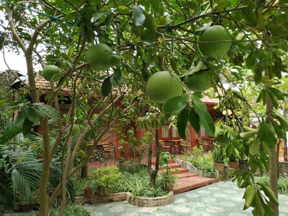 Tam Coc Thanh Dat Homestay Ninh Binh Exterior photo